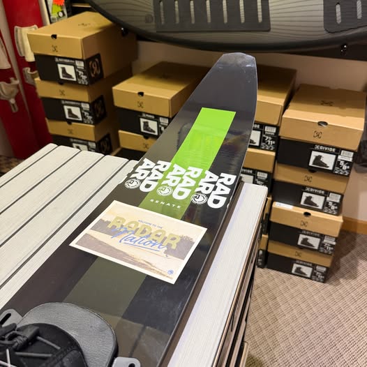 2026 Senate Alloy by Radar Skis